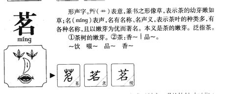 茗字五行|茗的五行属性